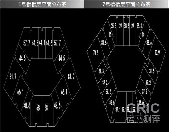 楼层平面分布图