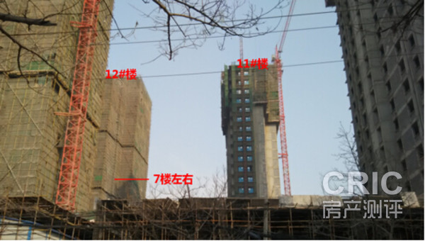 下午1时采光效果实拍图