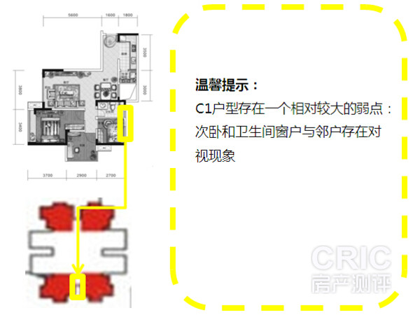 C1户型分析图