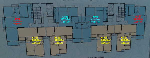 2号楼户型分布图
