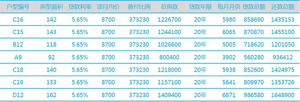 各户型商业贷款20年期