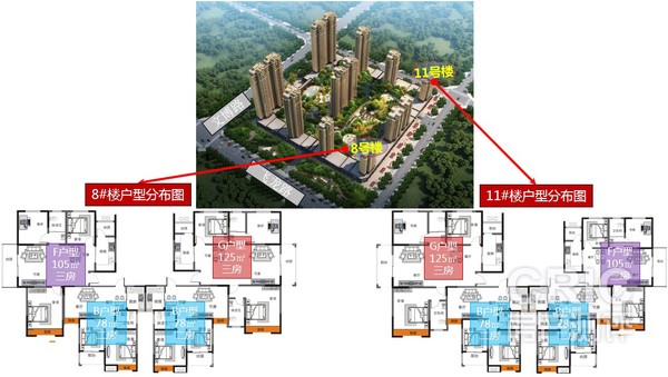 8#、11#楼户型分布图